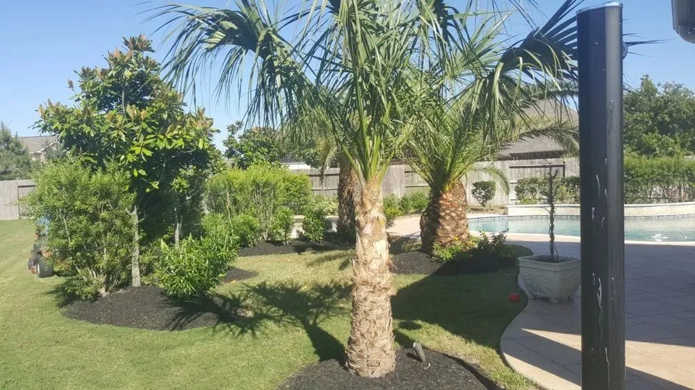 Expert outdoor landscaping in Houston, TX by Green Cares Lawn Service