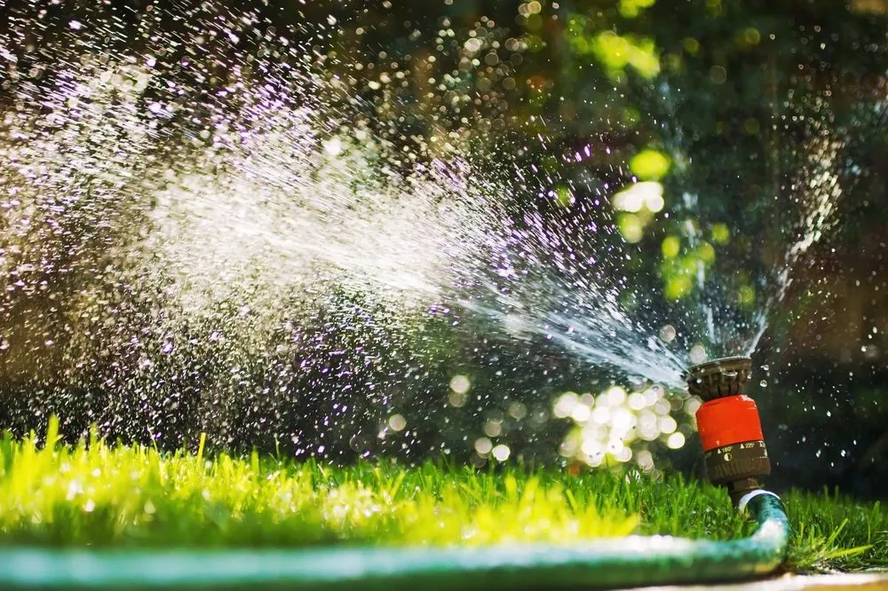 Affordable yard maintenance in Houston, TX - Green Cares Lawn Service