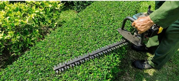 Top-rated landscaping services for residential properties in Katy, TX by Green Cares Lawn Services