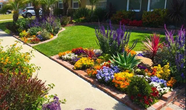 Expert yard maintenance for beautiful yards across Katy, TX - Green Cares Lawn Services