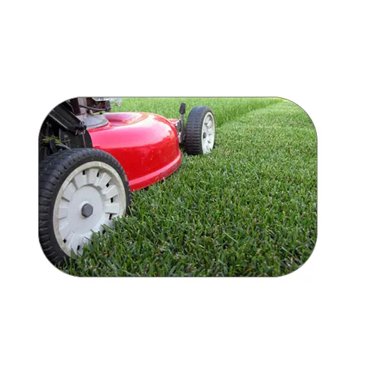 Trusted residential landscaping in Cary, NC by Green Carolina Landscaping