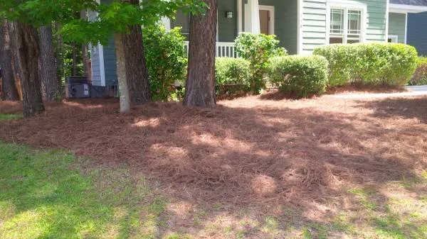 Local lawn care service experts serving Cary, NC - Green Carolina Landscaping