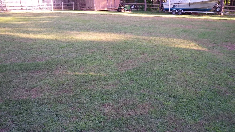 Affordable lawn care service for beautiful yards across Cary, NC - Green Carolina Landscaping