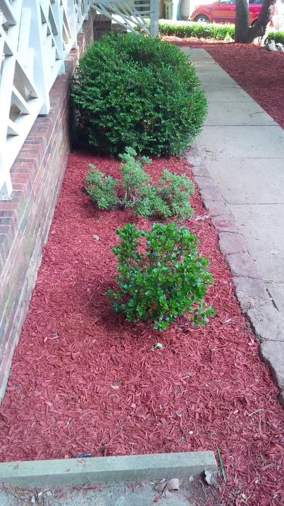 Professional landscape design for year-round maintenance across Cary, NC - Green Carolina Landscaping
