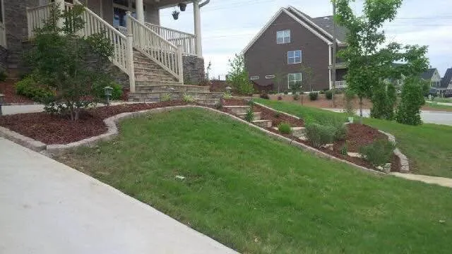 Expert lawn care service in Cary, NC by Green Carolina Landscaping