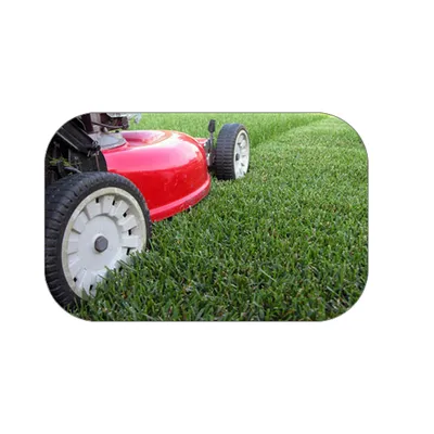 Green Carolina Landscaping Logo