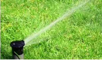 Trusted yard cleanup service in Lyndora, PA - Green Carpet Lawn Care