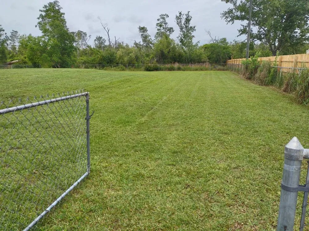 Top-rated residential landscaping near you across Lynn Haven, FL - Green Carpet Lawn Care