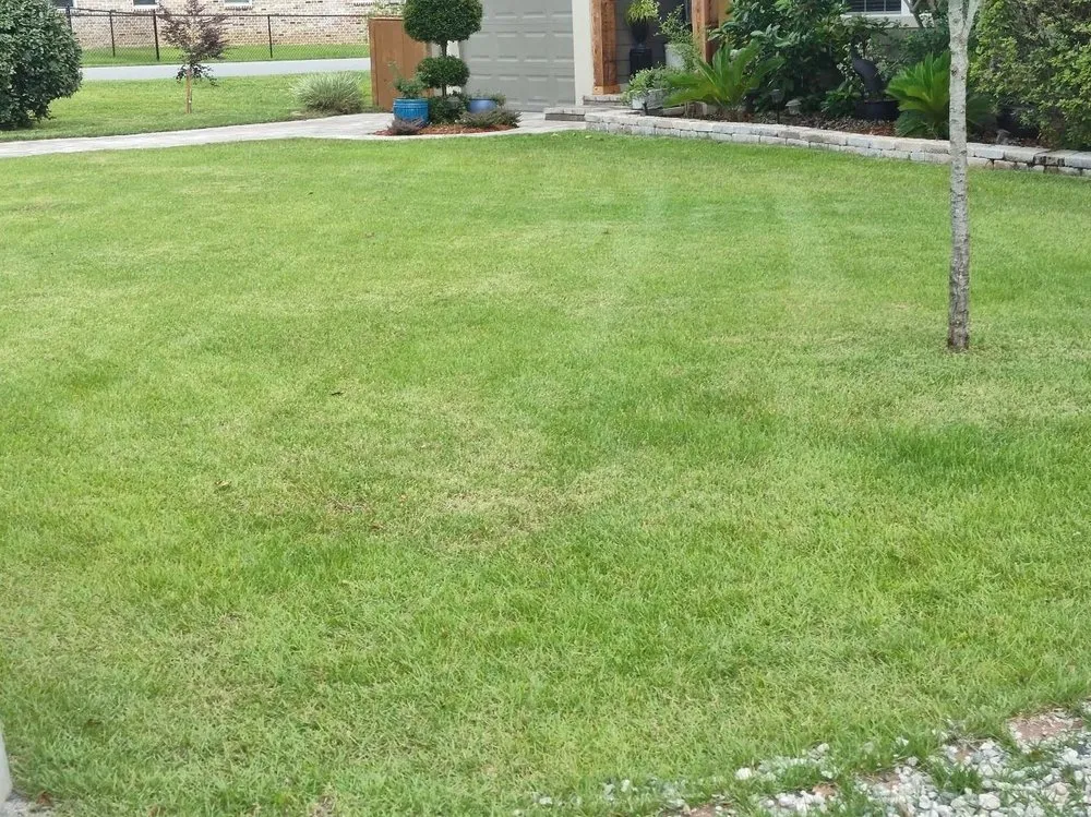 Trusted landscape design in Lynn Haven, FL - Green Carpet Lawn Care