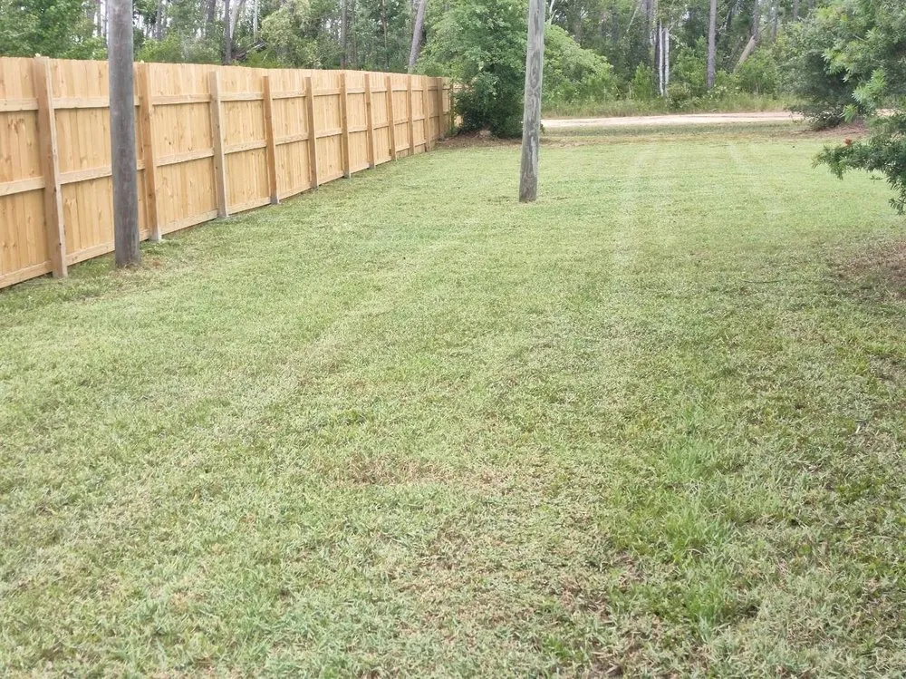 Trusted yard cleanup service experts serving Lynn Haven, FL - Green Carpet Lawn Care