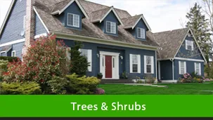 Top-rated garden landscaping for residential properties in Somers, CT by Green Carpet Lawn Care