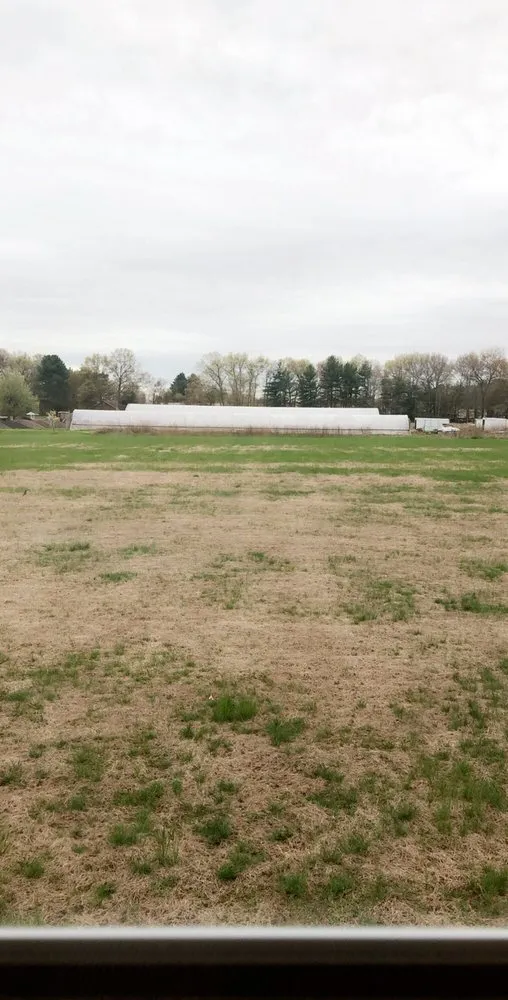 Professional garden landscaping in Somers, CT - Green Carpet Lawn Care