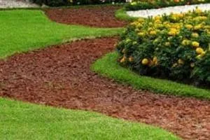Professional lawn care service for outdoor upgrades across Somers, CT - Green Carpet Lawn Care