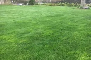 Top-rated landscape design in Somers, CT by Green Carpet Lawn Care