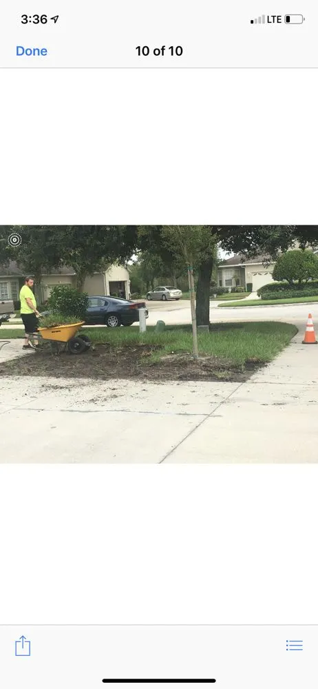 Custom residential landscaping experts serving DeBary, FL - Green Carpet Property Maintenance