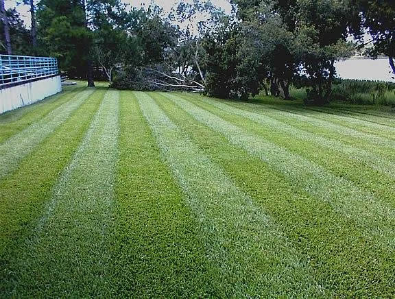 Professional yard maintenance experts serving DeBary, FL - Green Carpet Property Maintenance