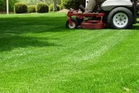 Custom lawn care service experts serving DeBary, FL - Green Carpet Property Maintenance