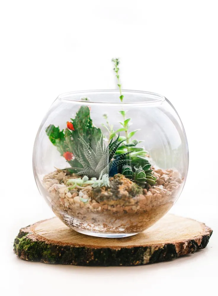 Affordable landscape installation for beautiful yards in Delray Beach, FL by Green Cascade