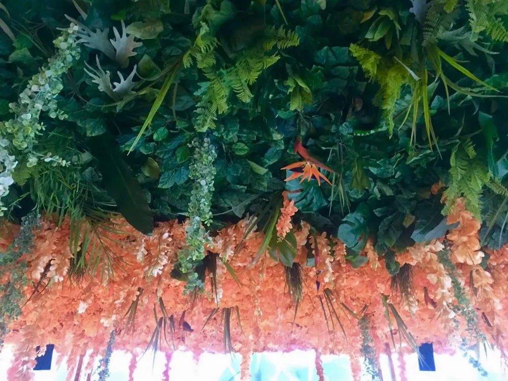 Local lawn care service for beautiful yards in Delray Beach, FL by Green Cascade