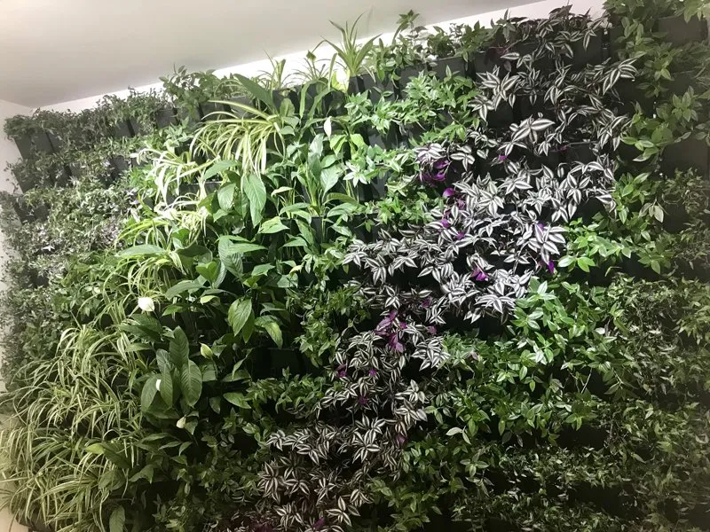 Expert yard maintenance in Delray Beach, FL - Green Cascade