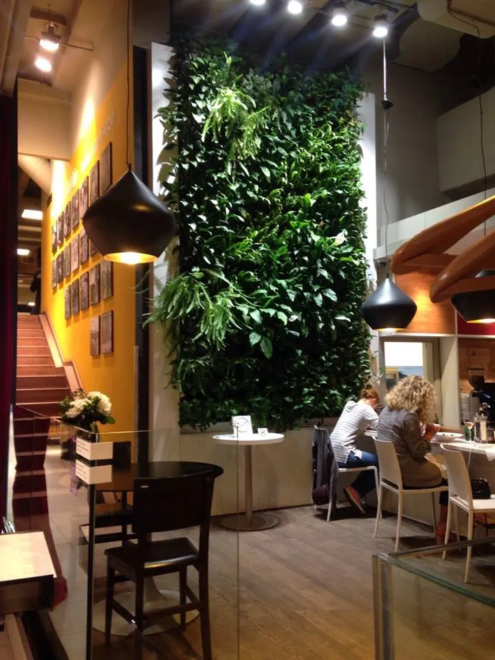 Local landscape installation experts serving Delray Beach, FL - Green Cascade