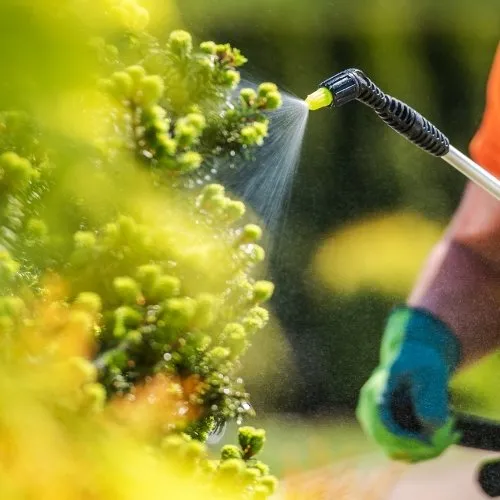 Affordable outdoor landscaping in Ogden, UT - Green Castle Lawn Care and Pest Control