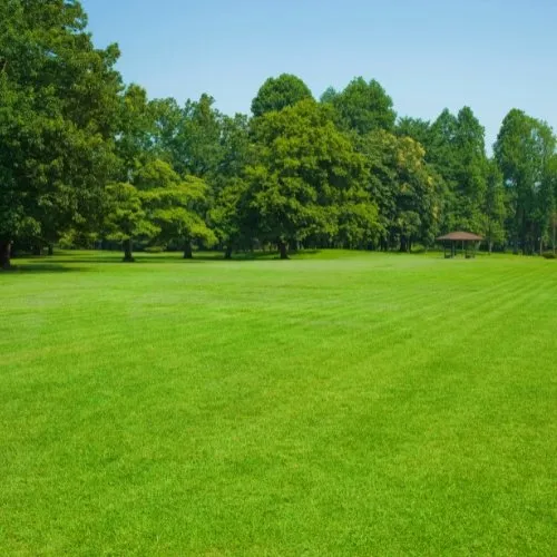 Top-rated landscaping services in Ogden, UT by Green Castle Lawn Care and Pest Control