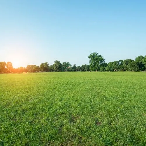 Affordable landscaping services for year-round maintenance in Ogden, UT by Green Castle Lawn Care and Pest Control