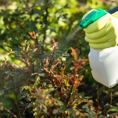 Top-rated landscape installation for residential properties across Ogden, UT - Green Castle Lawn Care and Pest Control