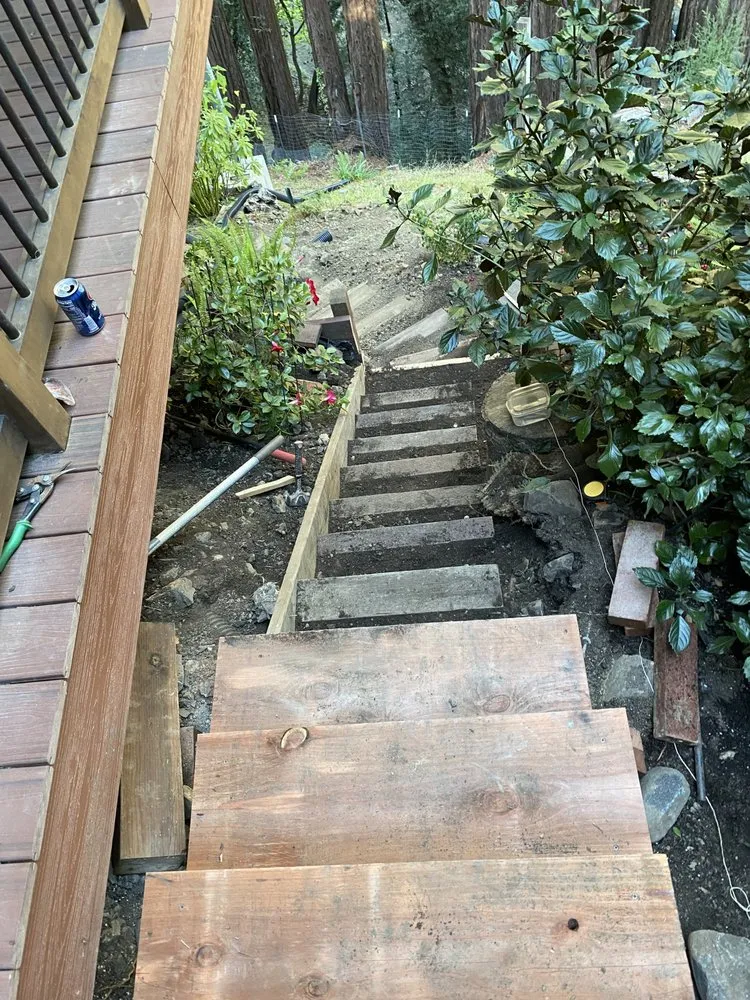 Expert residential landscaping for homes across Petaluma, CA - Green Ceiba