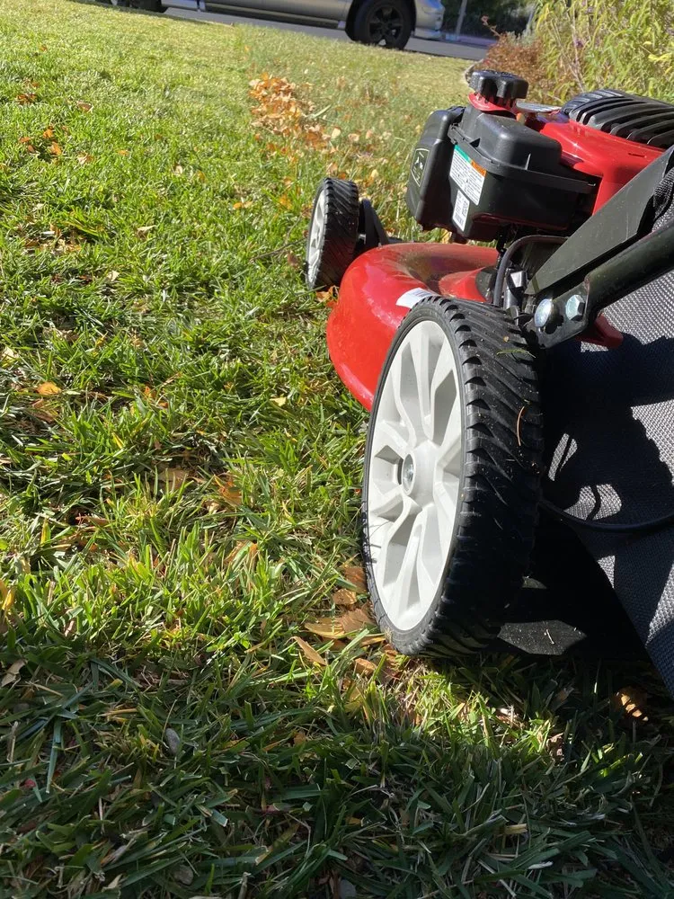 Reliable outdoor landscaping in Petaluma, CA by Green Ceiba