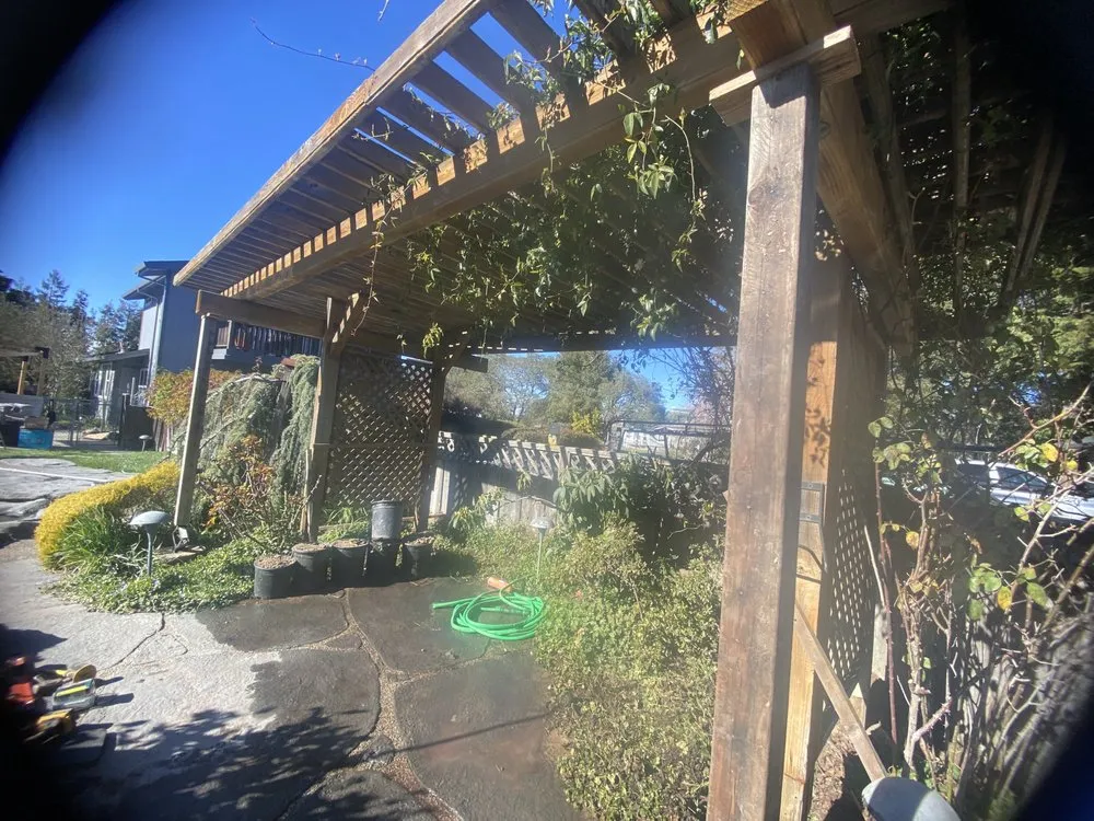 Reliable landscape design in Petaluma, CA by Green Ceiba