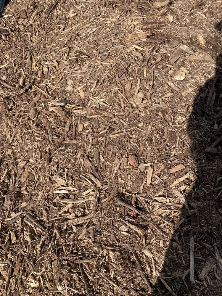 Affordable yard maintenance for outdoor upgrades in Petaluma, CA by Green Ceibas