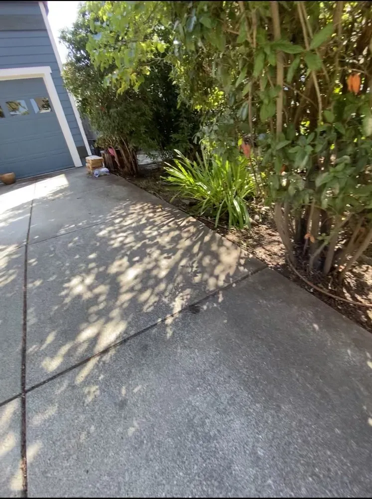 Professional landscaping services with custom design in Petaluma, CA by Green Ceibas