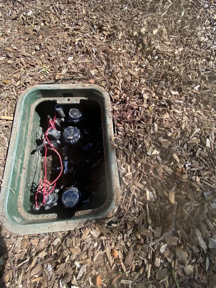 Top-rated landscaping services experts serving Petaluma, CA - Green Ceibas