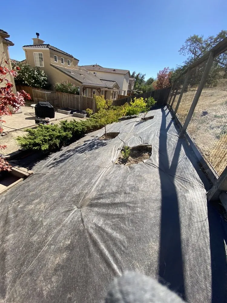 Trusted lawn mowing service for outdoor upgrades in Petaluma, CA by Green Ceibas