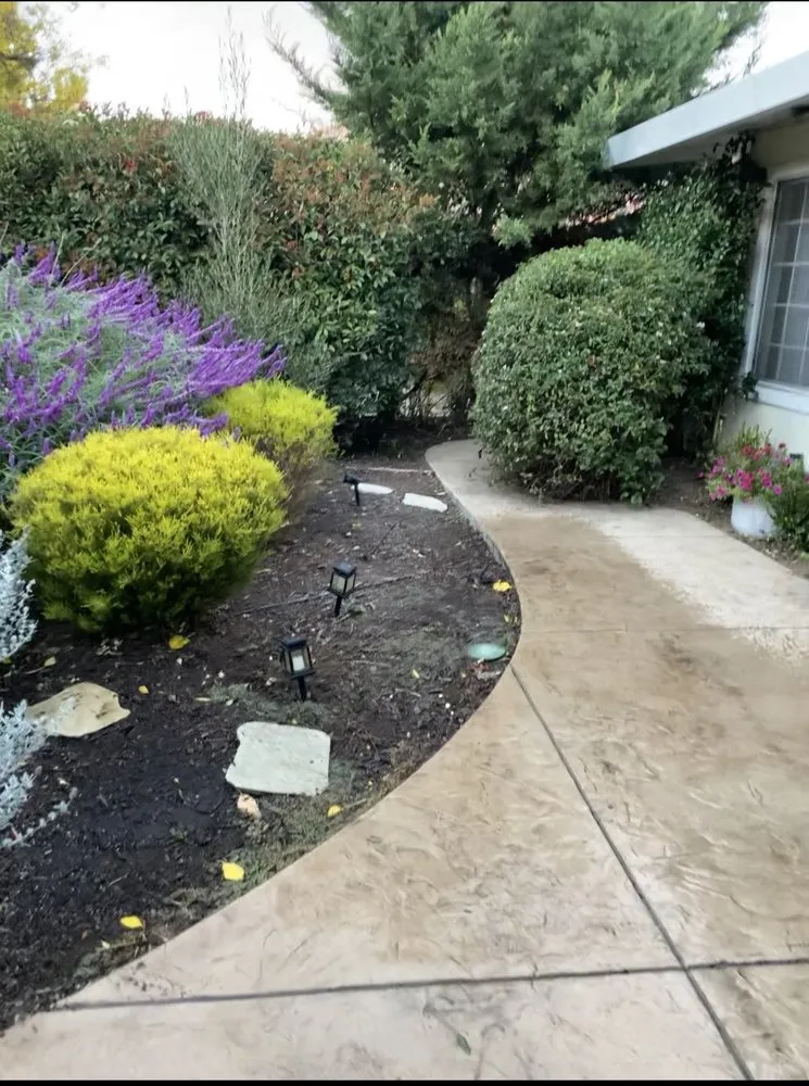 Trusted landscaping services in Petaluma, CA - Green Ceibas