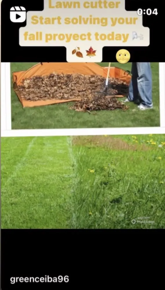 Expert landscape installation for residential properties in Petaluma, CA by Green Ceibas