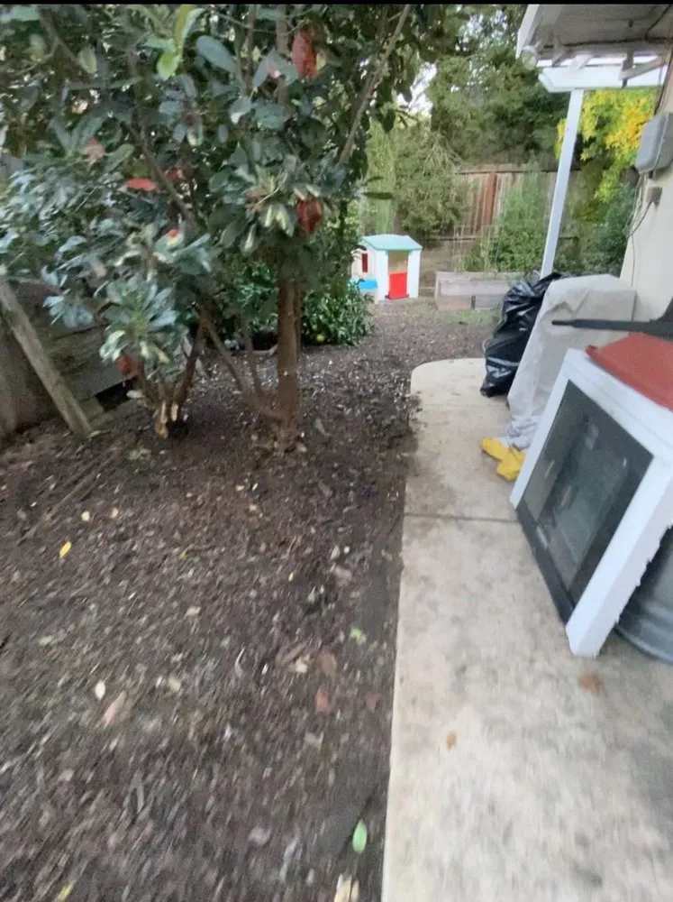 Custom lawn mowing service near you in Petaluma, CA by Green Ceibas