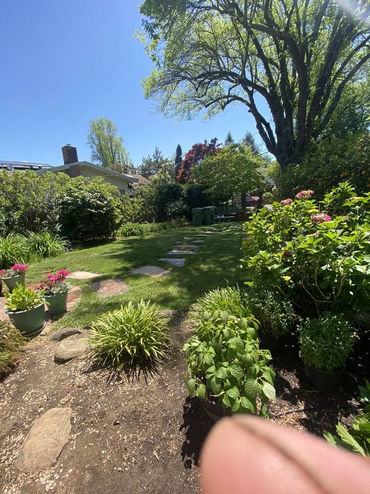 Professional lawn mowing service in Petaluma, CA by Green Ceibas