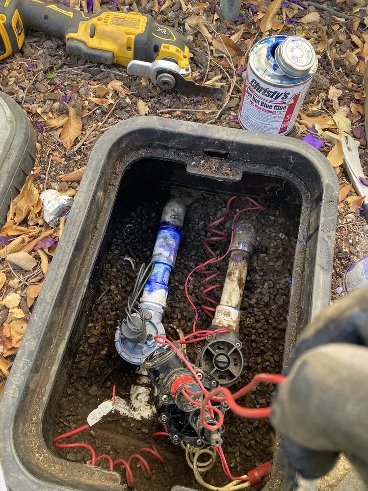 Reliable yard cleanup service in Petaluma, CA - Green Ceibas