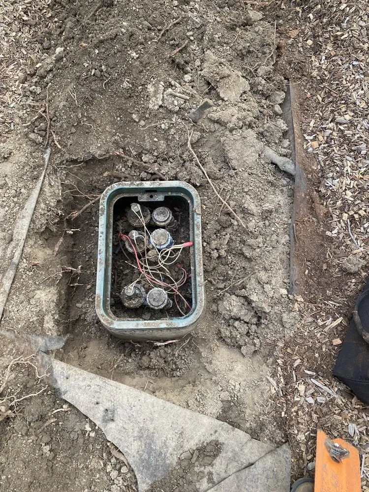 Expert garden landscaping for residential properties in Petaluma, CA by Green Ceibas