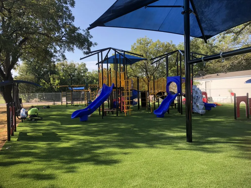 Top-rated yard cleanup service in Houston, TX - Green Century Services