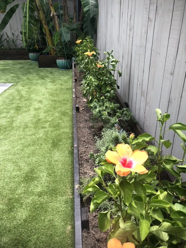 Top-rated outdoor landscaping experts serving Houston, TX - Green Century Services