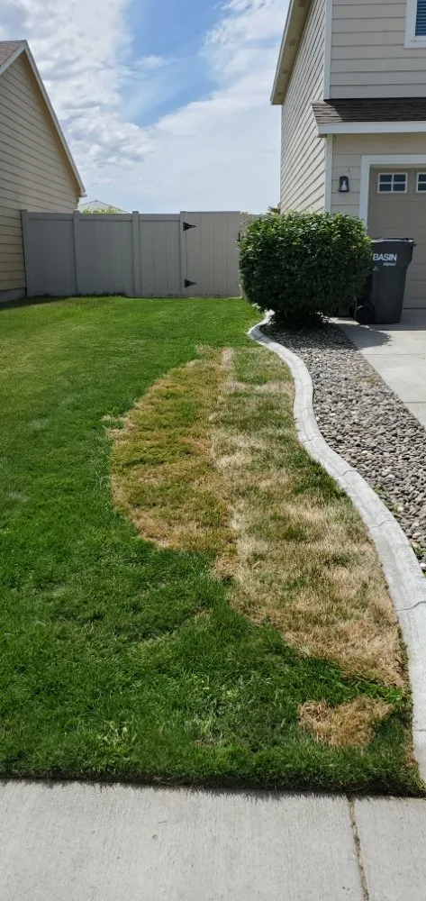Trusted yard maintenance for outdoor upgrades in Richland, WA by Green Choice Lawn Service