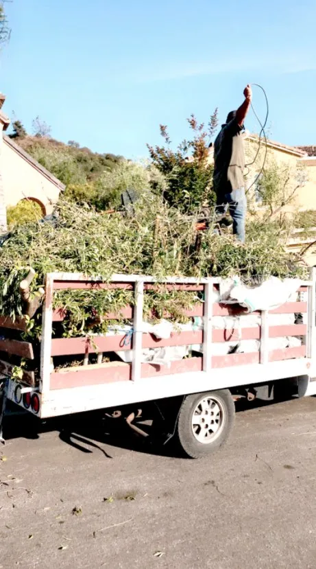 Custom residential landscaping in Thousand Oaks, CA - Green City Gardening