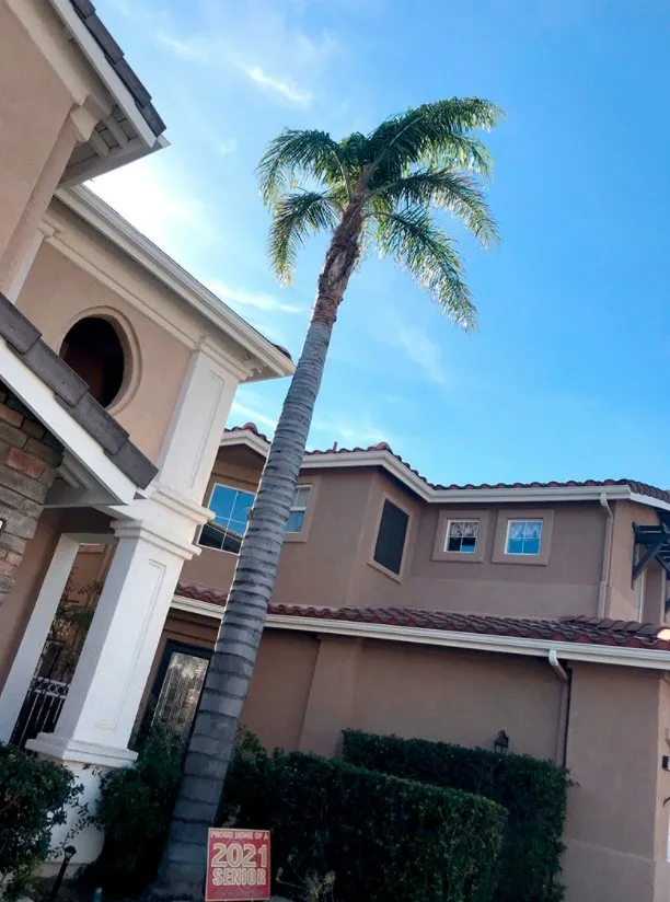 Trusted garden landscaping for residential properties across Thousand Oaks, CA - Green City Gardening