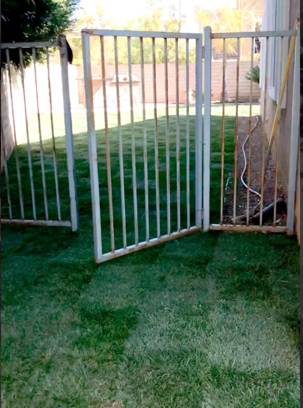 Professional yard cleanup service in Thousand Oaks, CA by Green City Gardening