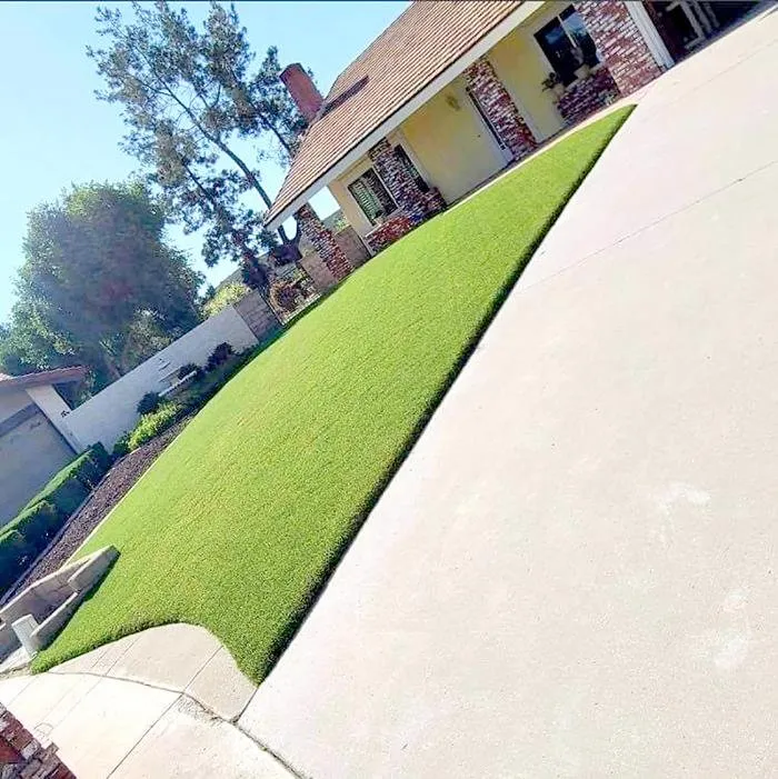 Affordable outdoor landscaping in Thousand Oaks, CA - Green City Gardening