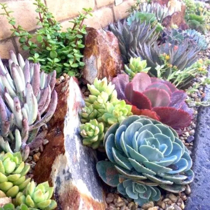 Custom lawn care service in Thousand Oaks, CA - Green City Gardening